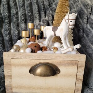 Adventní šuplík koník